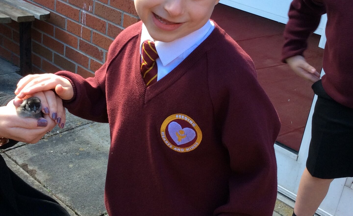 Image of Year 2 Science