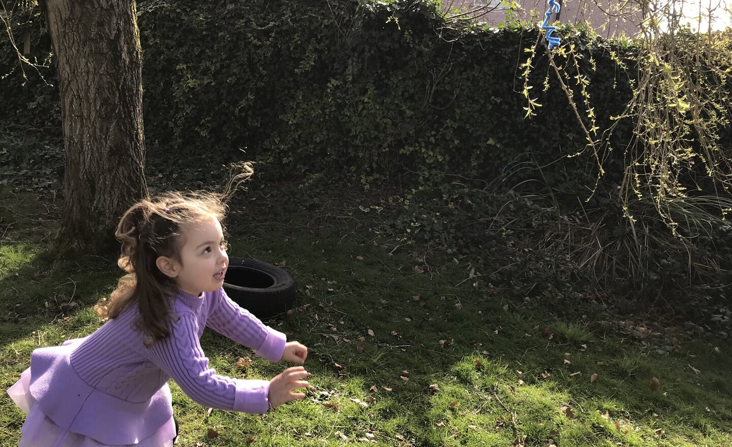 Image of Nursery science week