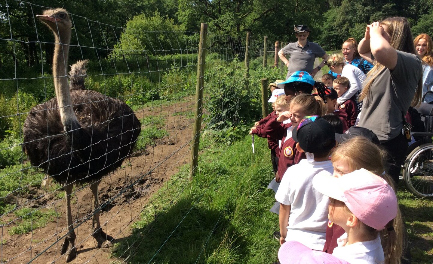 Image of Our day at Bowland Wild Boar Park