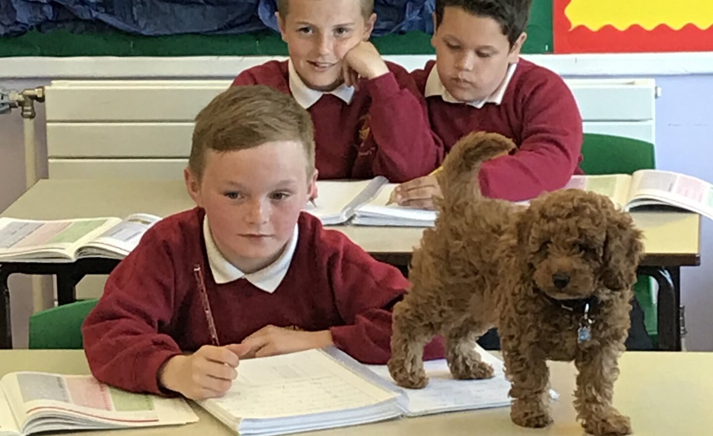 Image of I'm going to be in the newspaper!