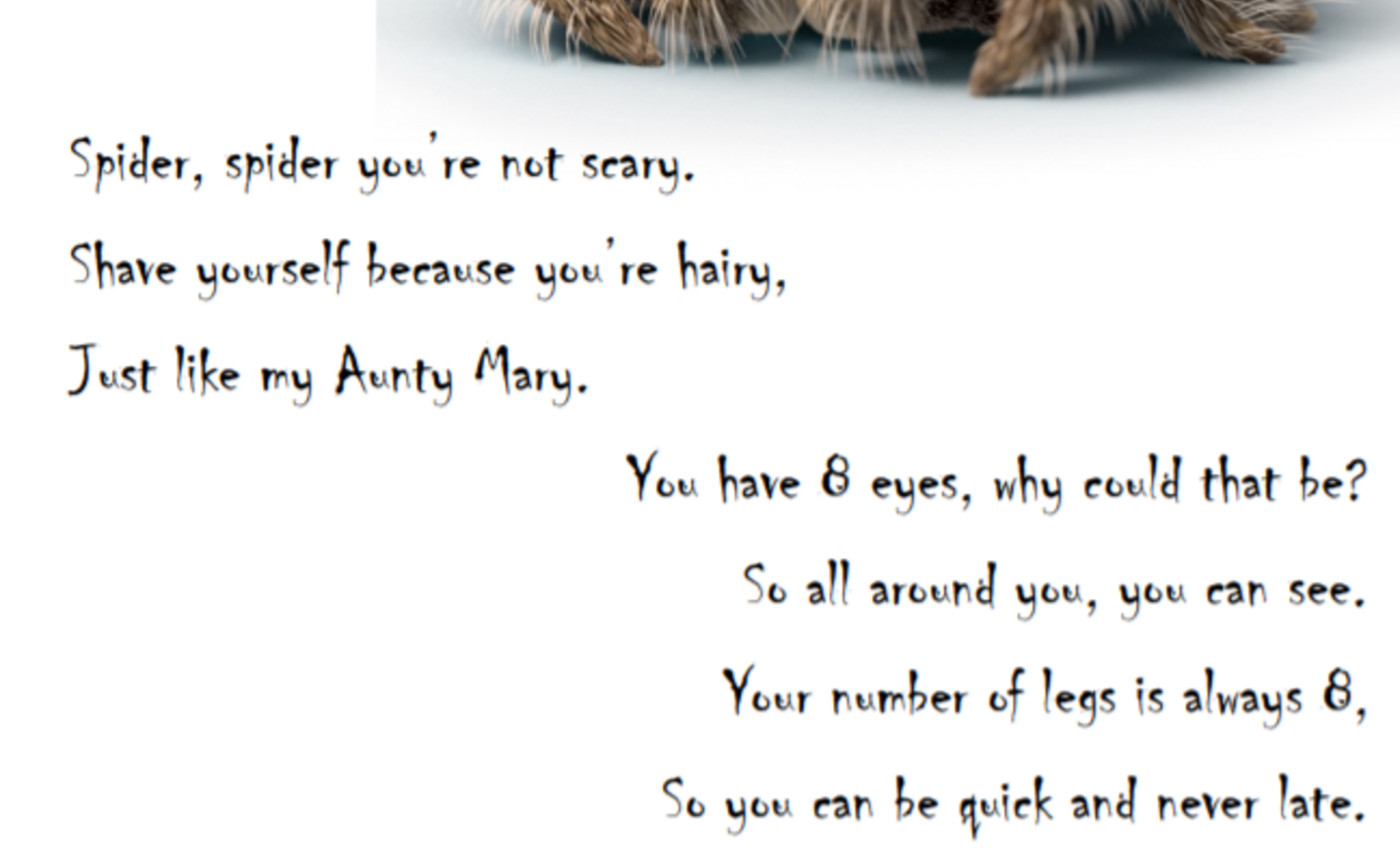 Image of Spider poem