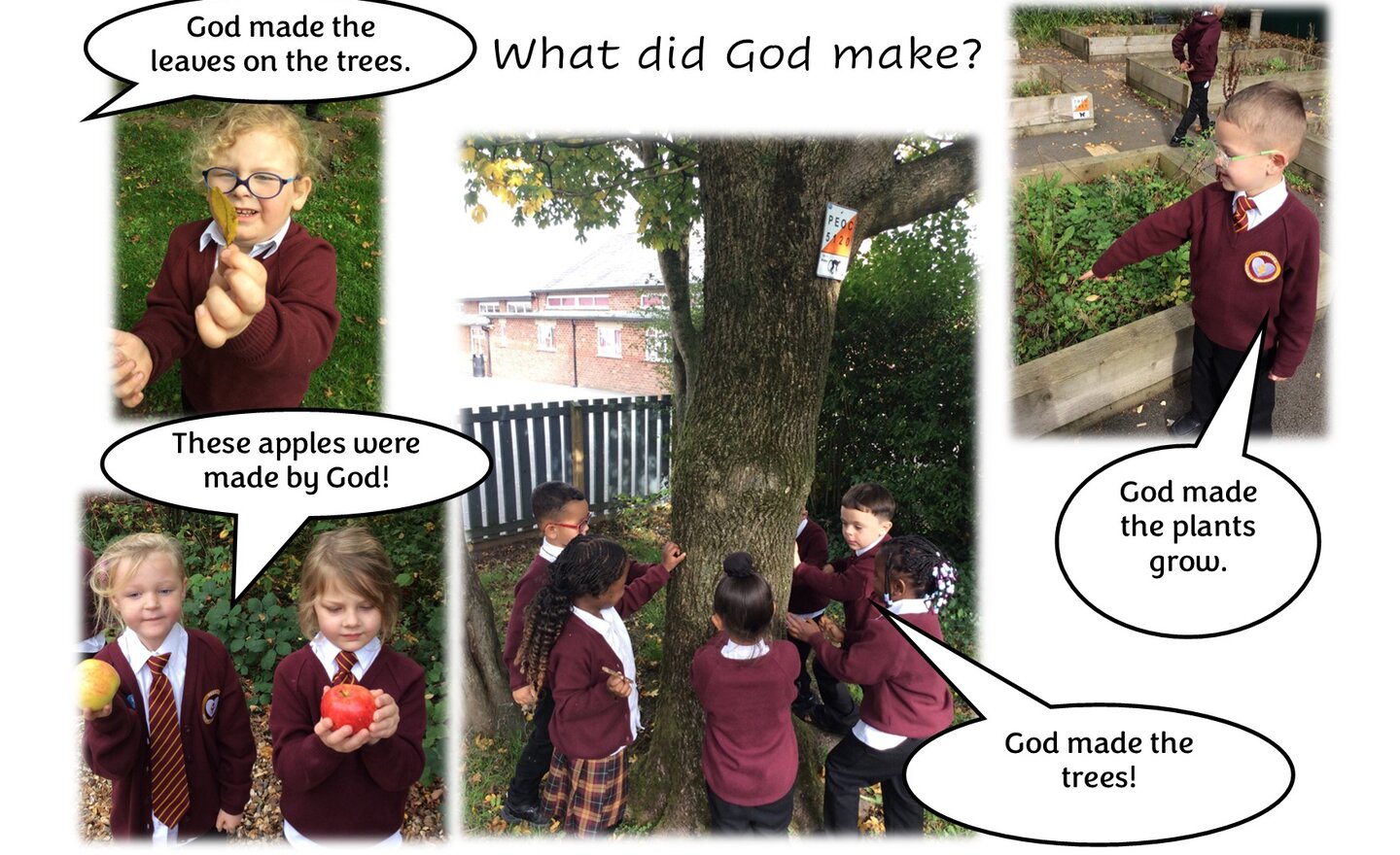 Image of What did God make?