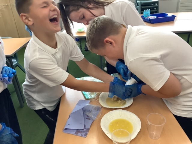 Image of Learning about the Digestive System in 4S