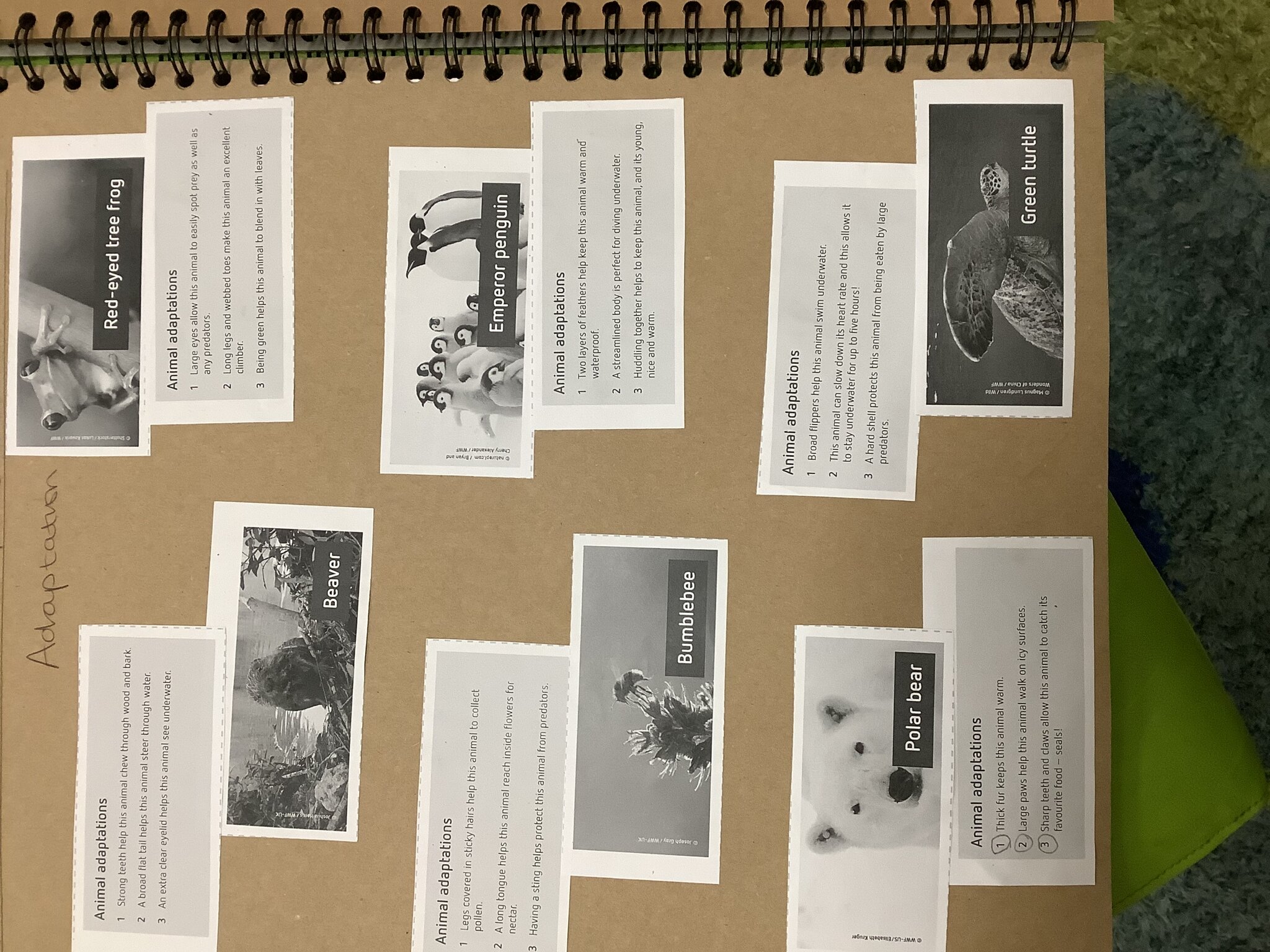 Image of Science week