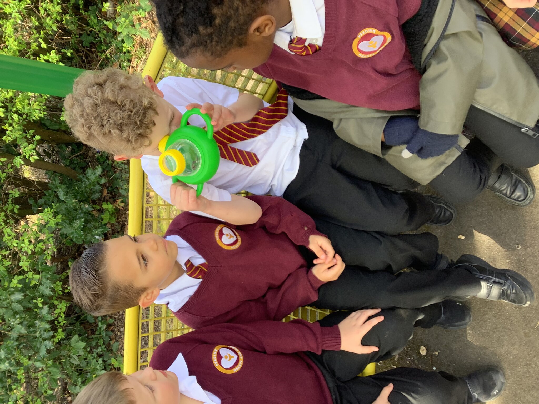 Image of Woodlice enquiry