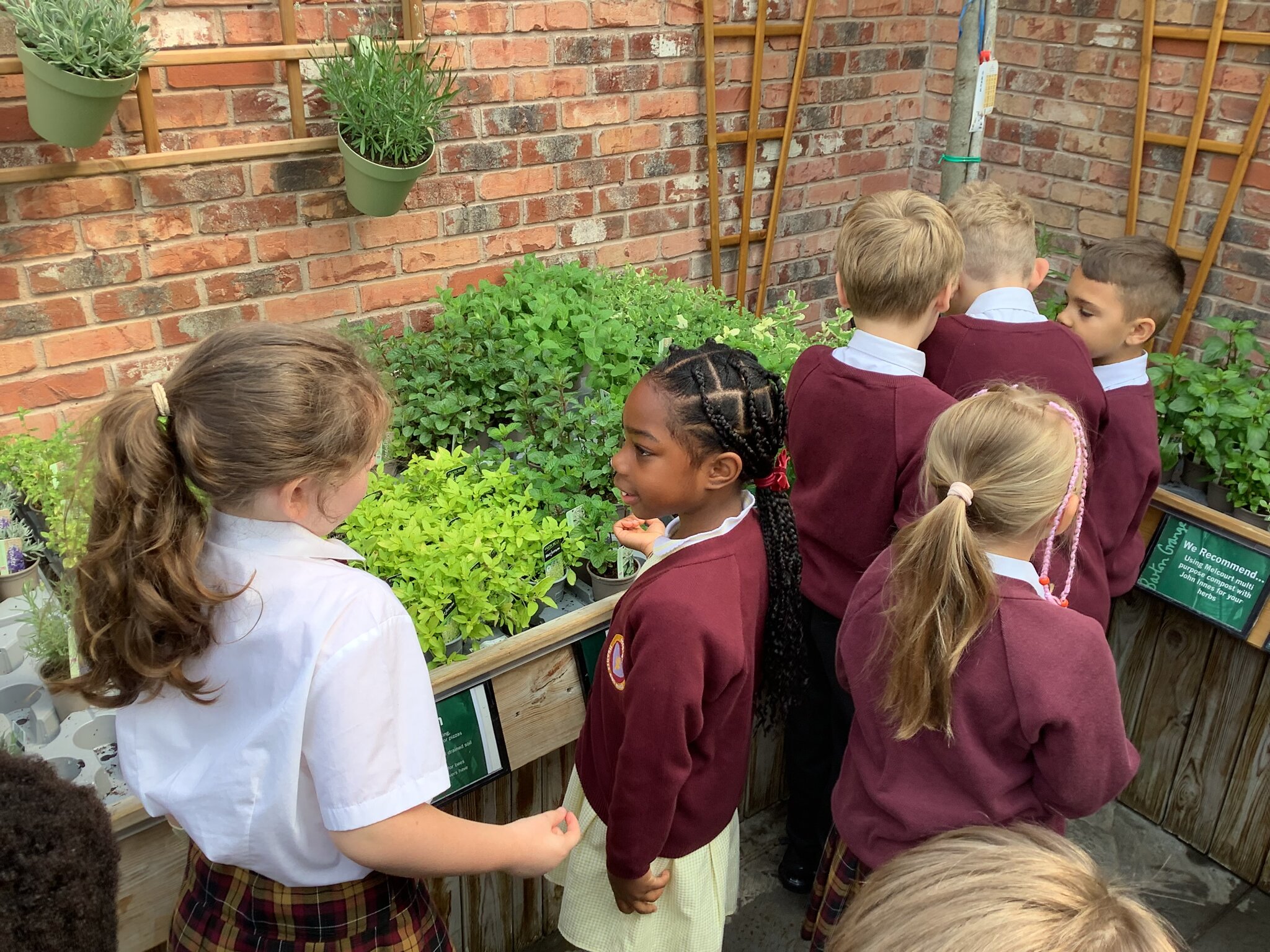 Image of Barton Grange