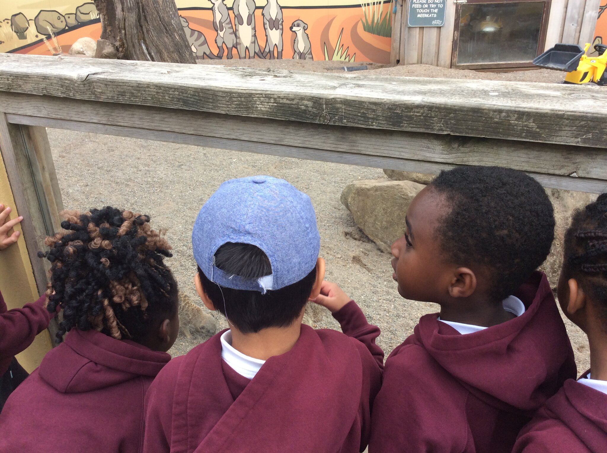 Image of Bowland Wild Boar Park YRS