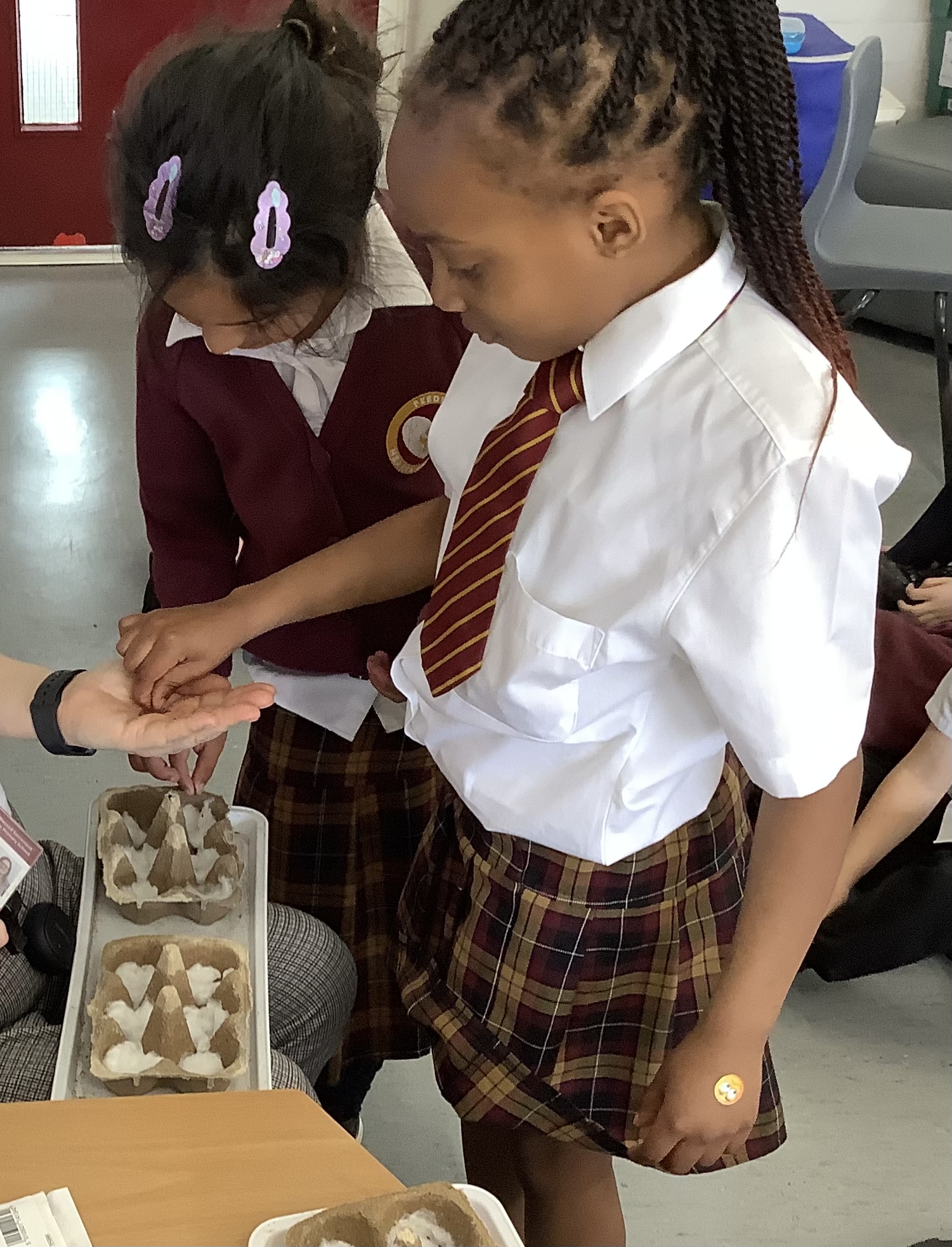 Image of Cress seeds Y1S