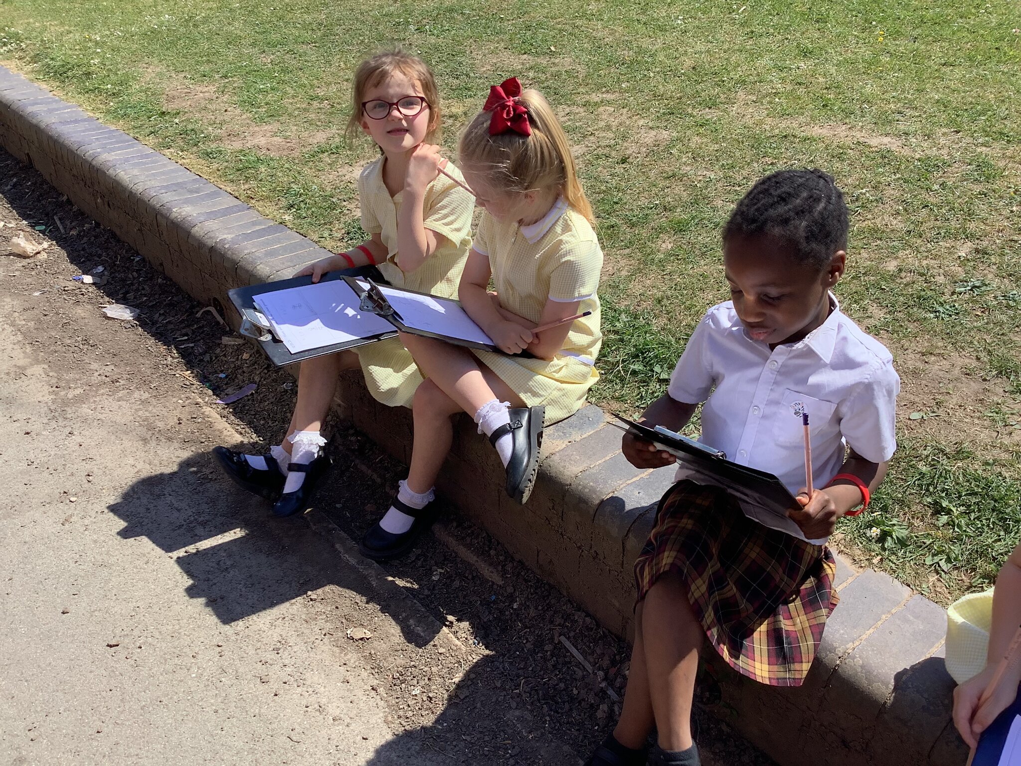 Image of Plants in our school grounds