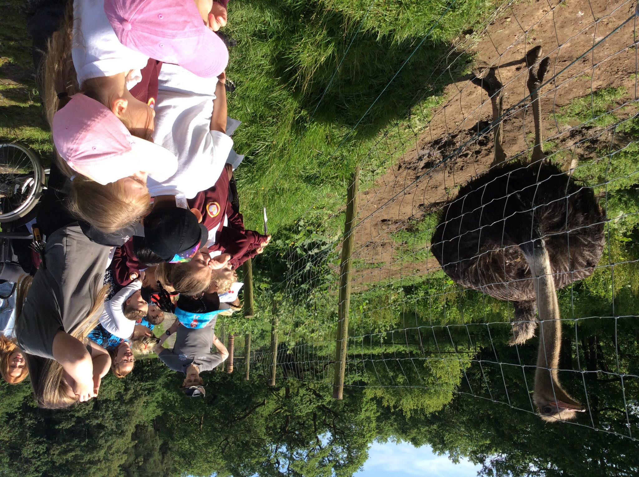 Image of Our day at Bowland Wild Boar Park