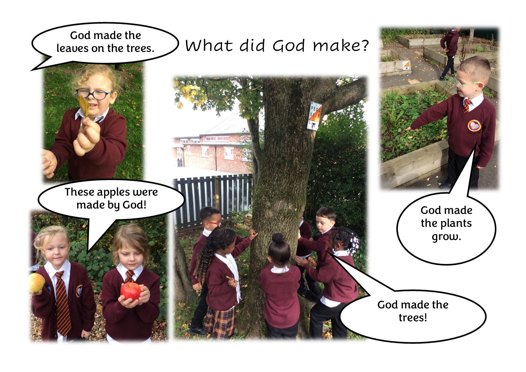 Image of What did God make?