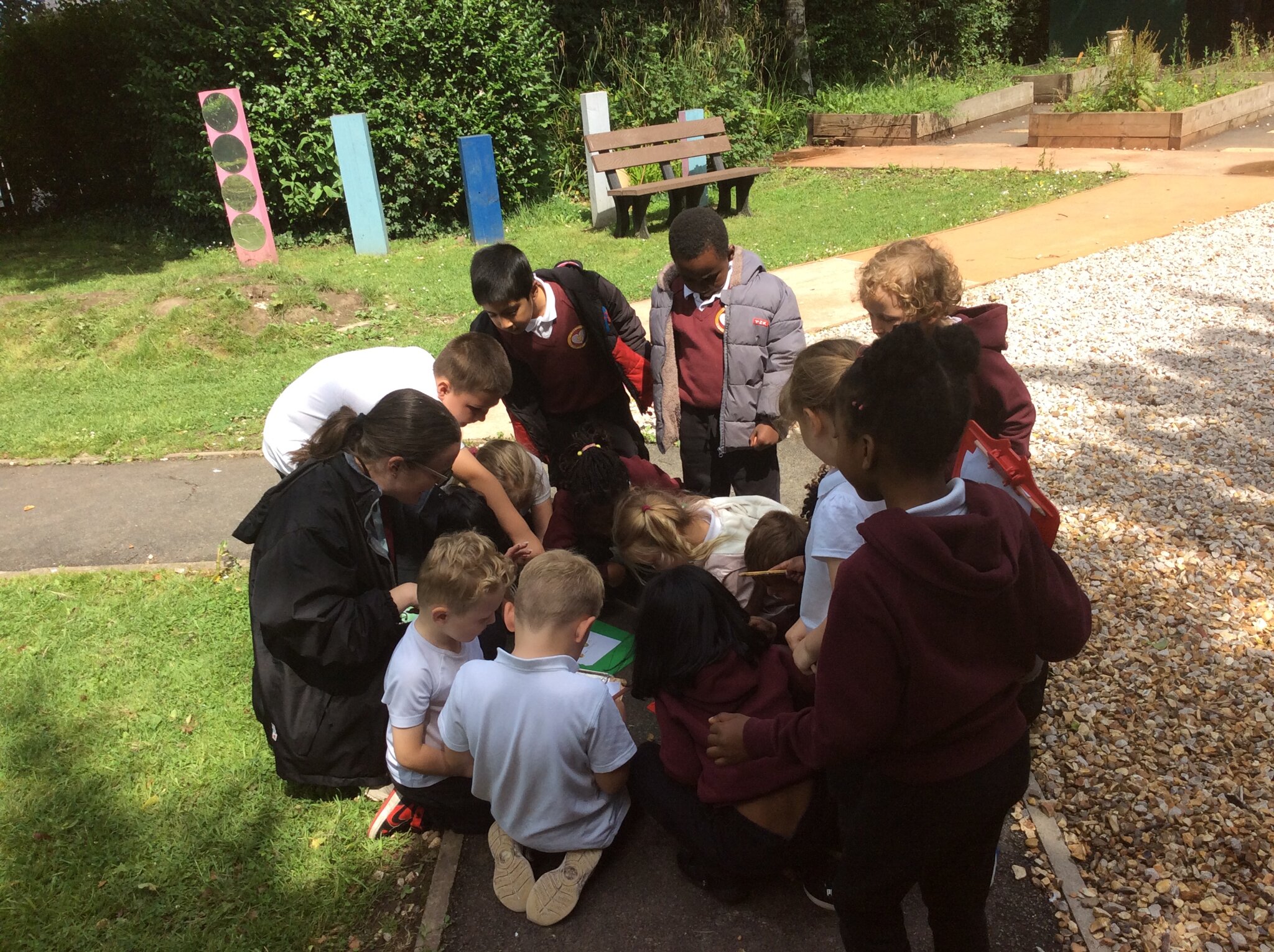 Image of Signs of Summer