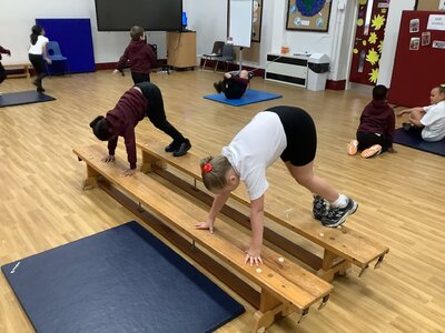 Image of Gymnastics