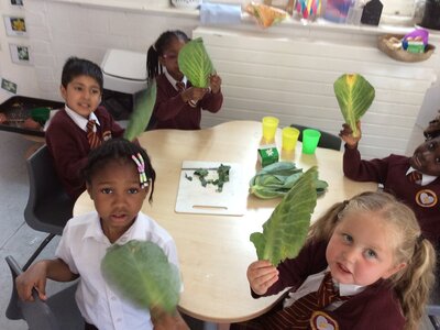 Image of Vegetable tasting 