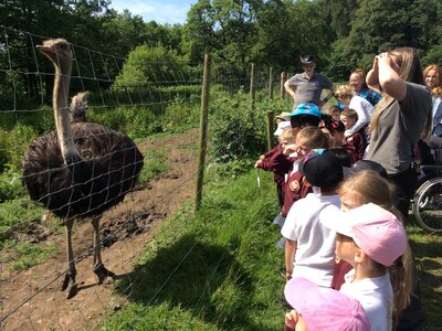 Image of Our day at Bowland Wild Boar Park