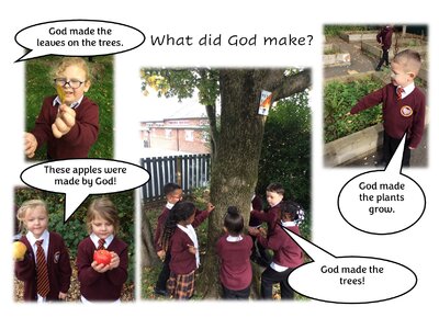 Image of What did God make?