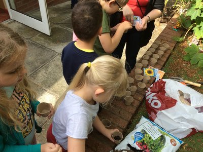 Image of KS1 Outdoor Day May 2019