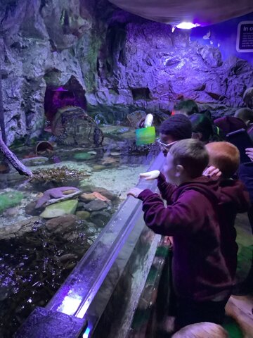 Image of 2S Sealife centre