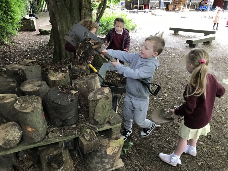 Image of Bug hotel