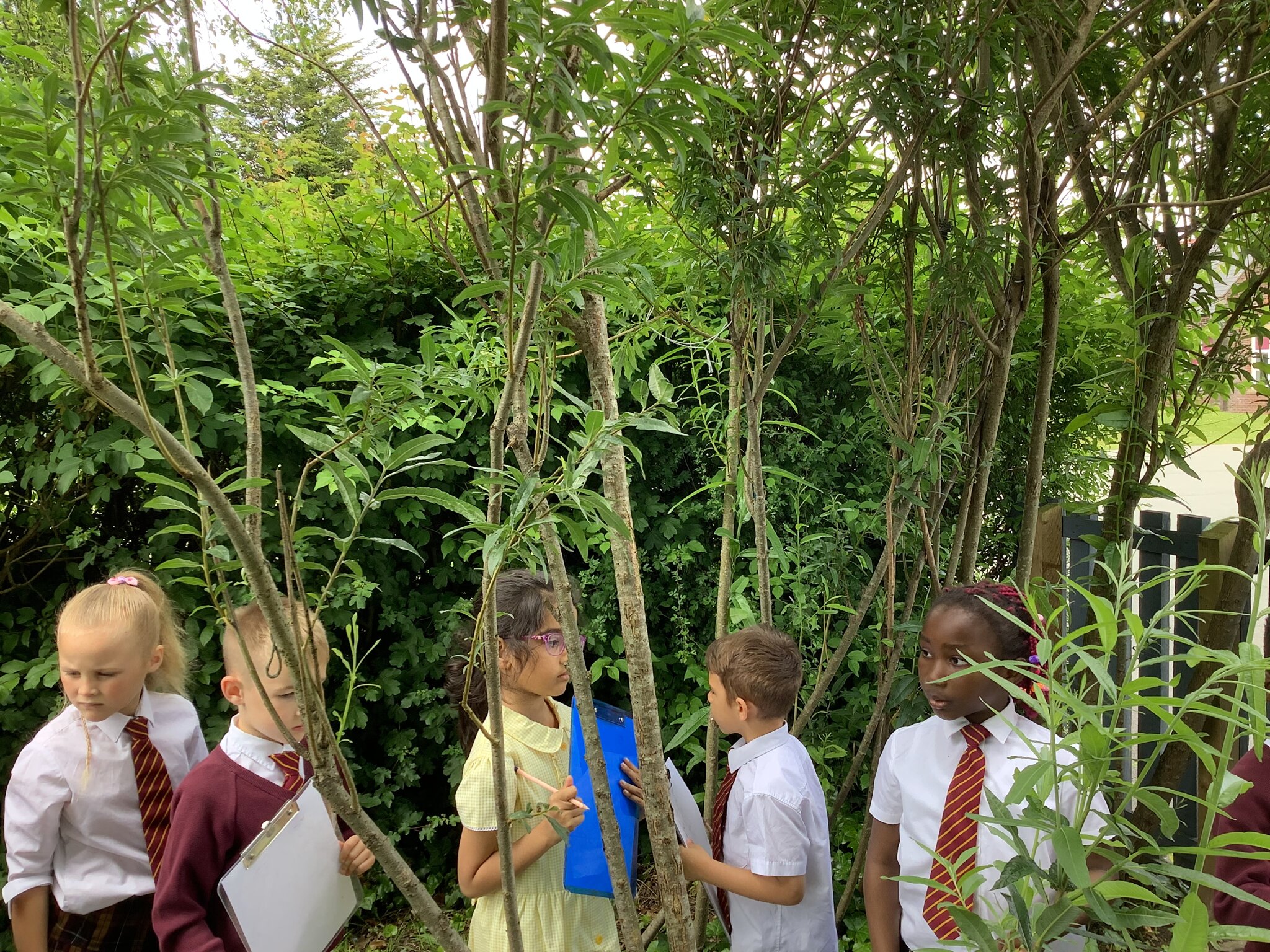 Image of Our School Garden