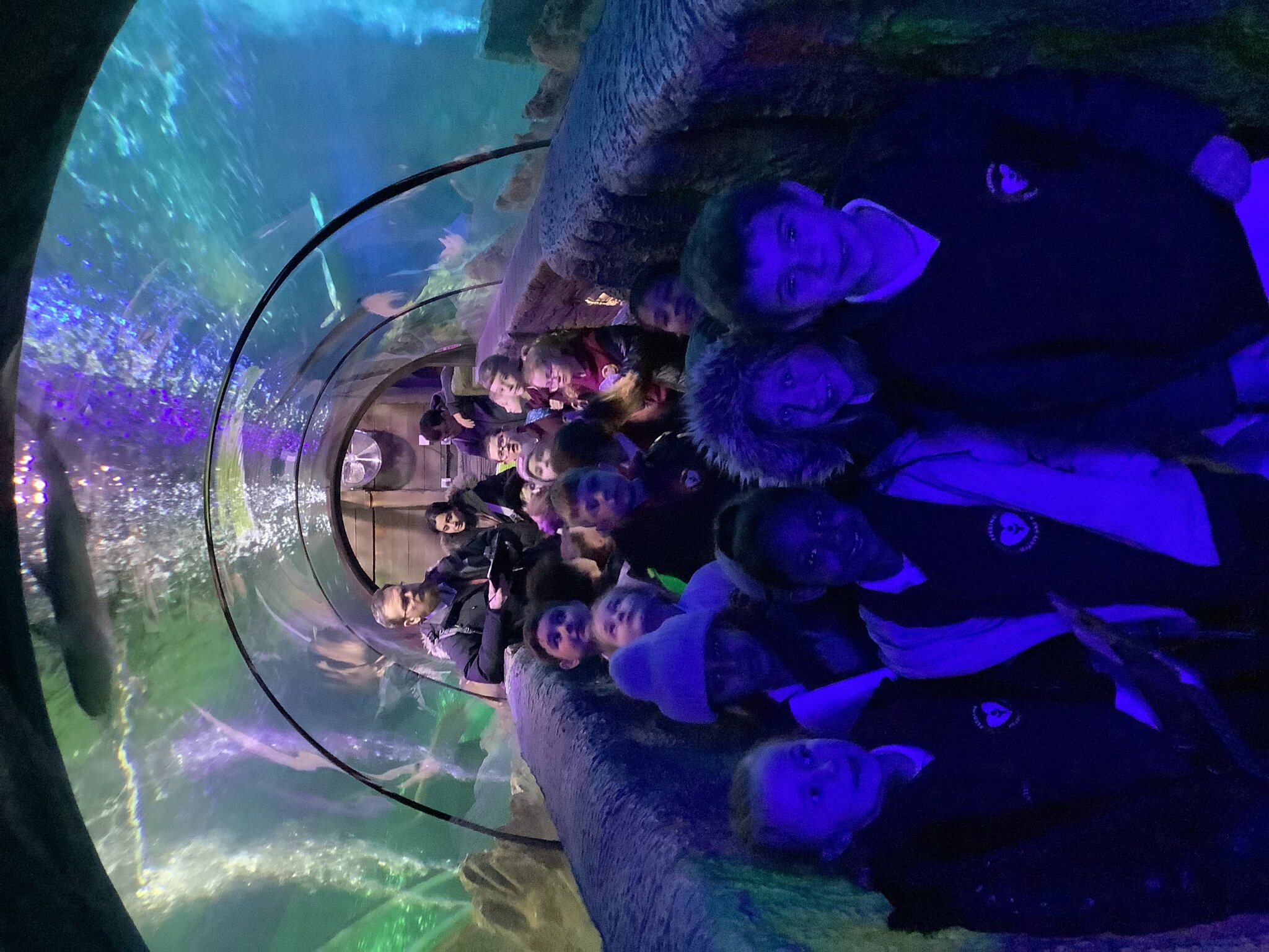 Image of 2B visit to Blackpool Sealife Centre