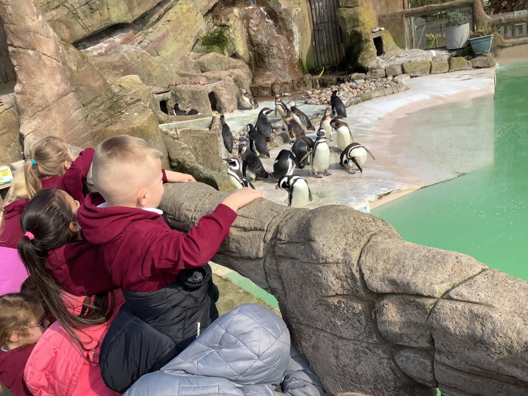 Image of Blackpool Zoo