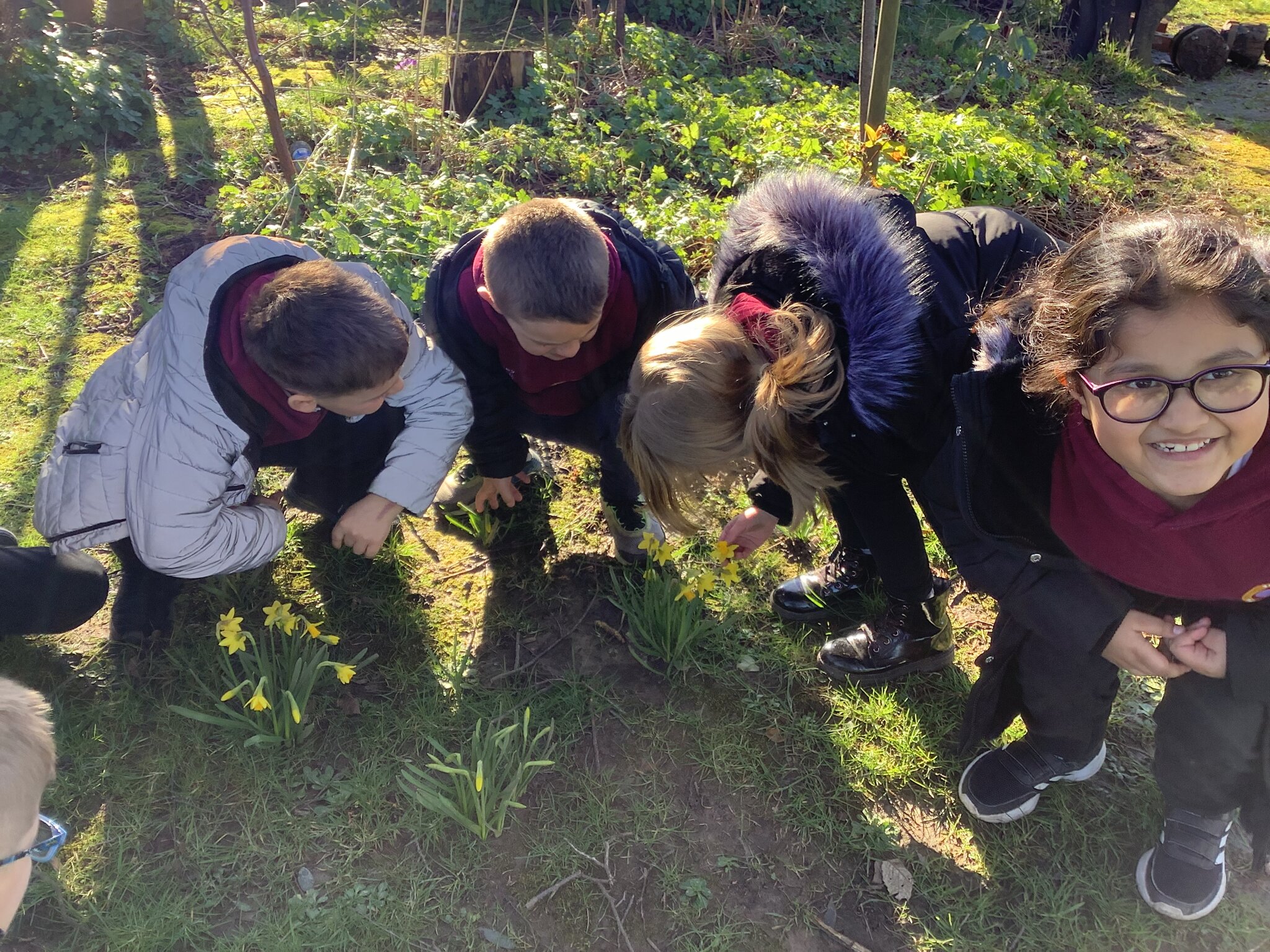 Image of Germination Hunt