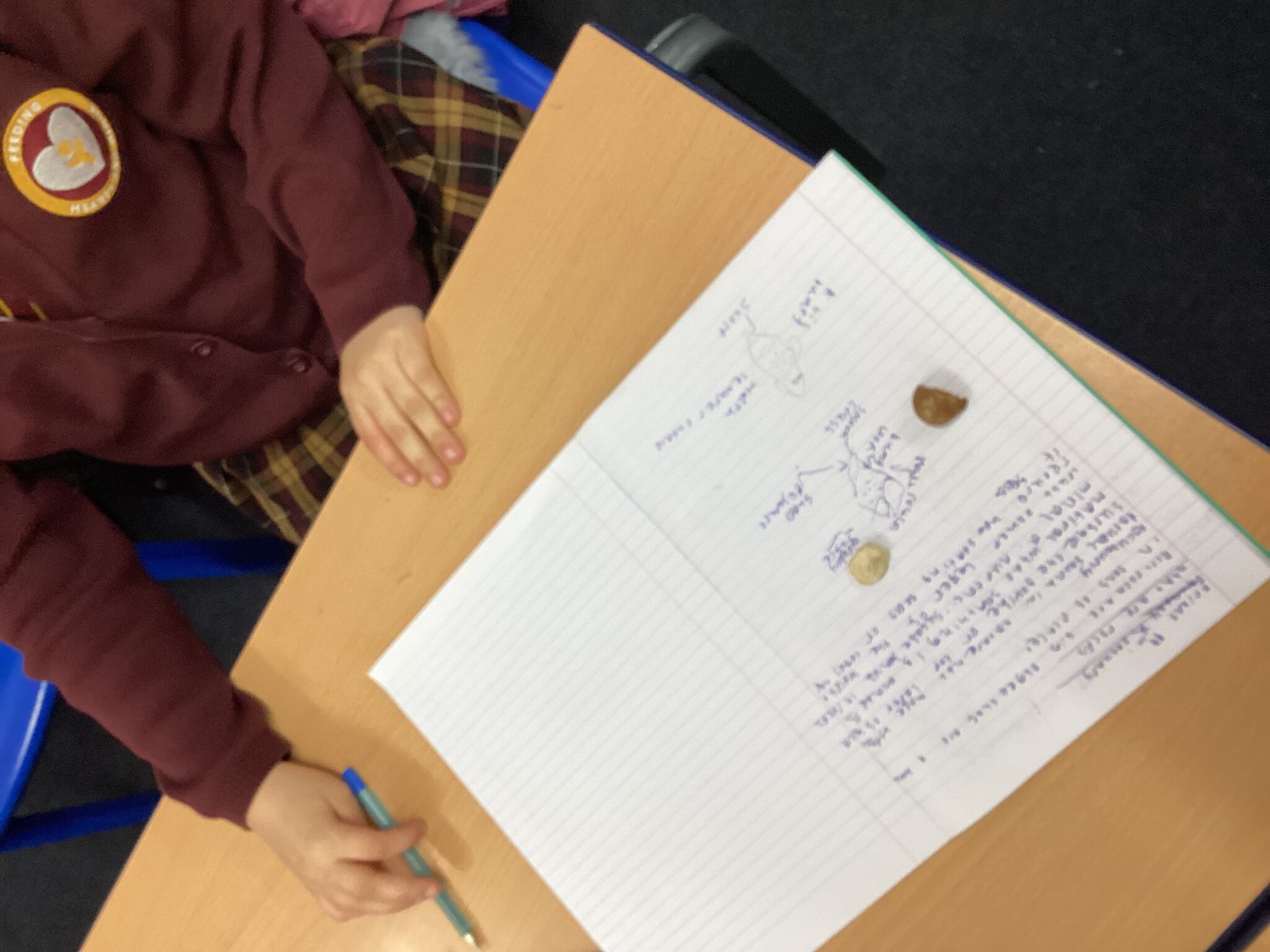 Image of 3S Rock Hunt