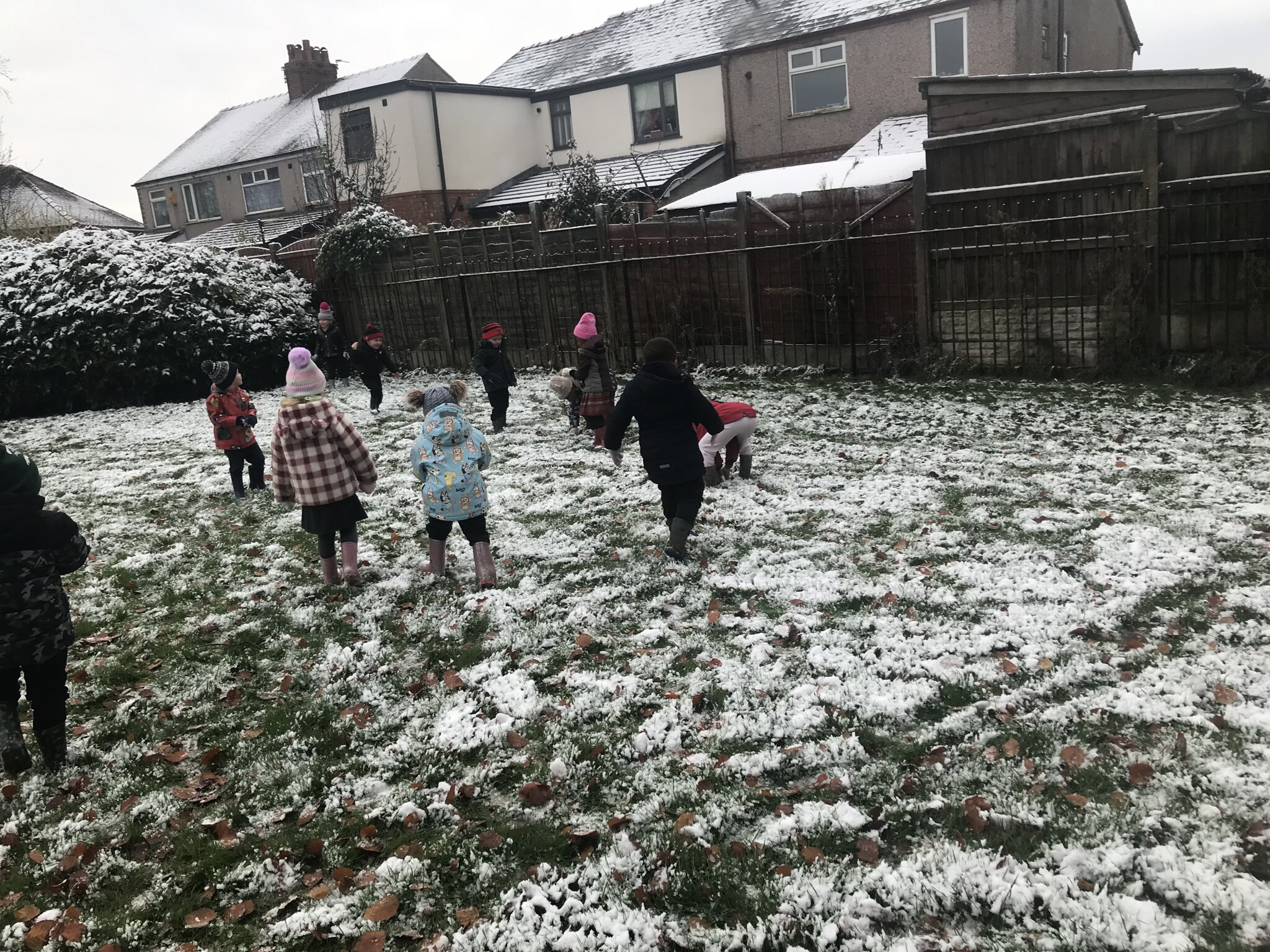 Image of Fun in the snow.