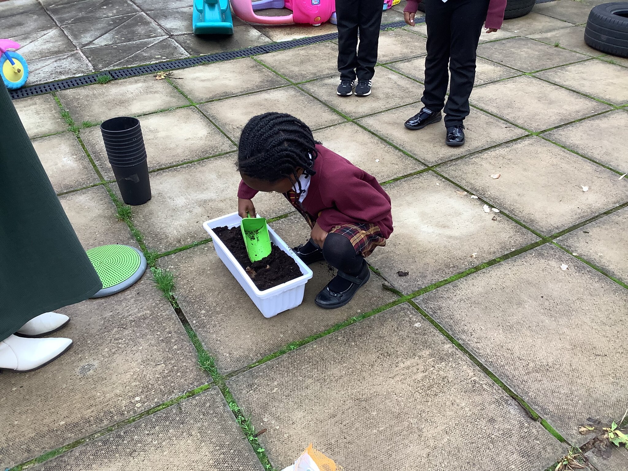 Image of Planting bulbs