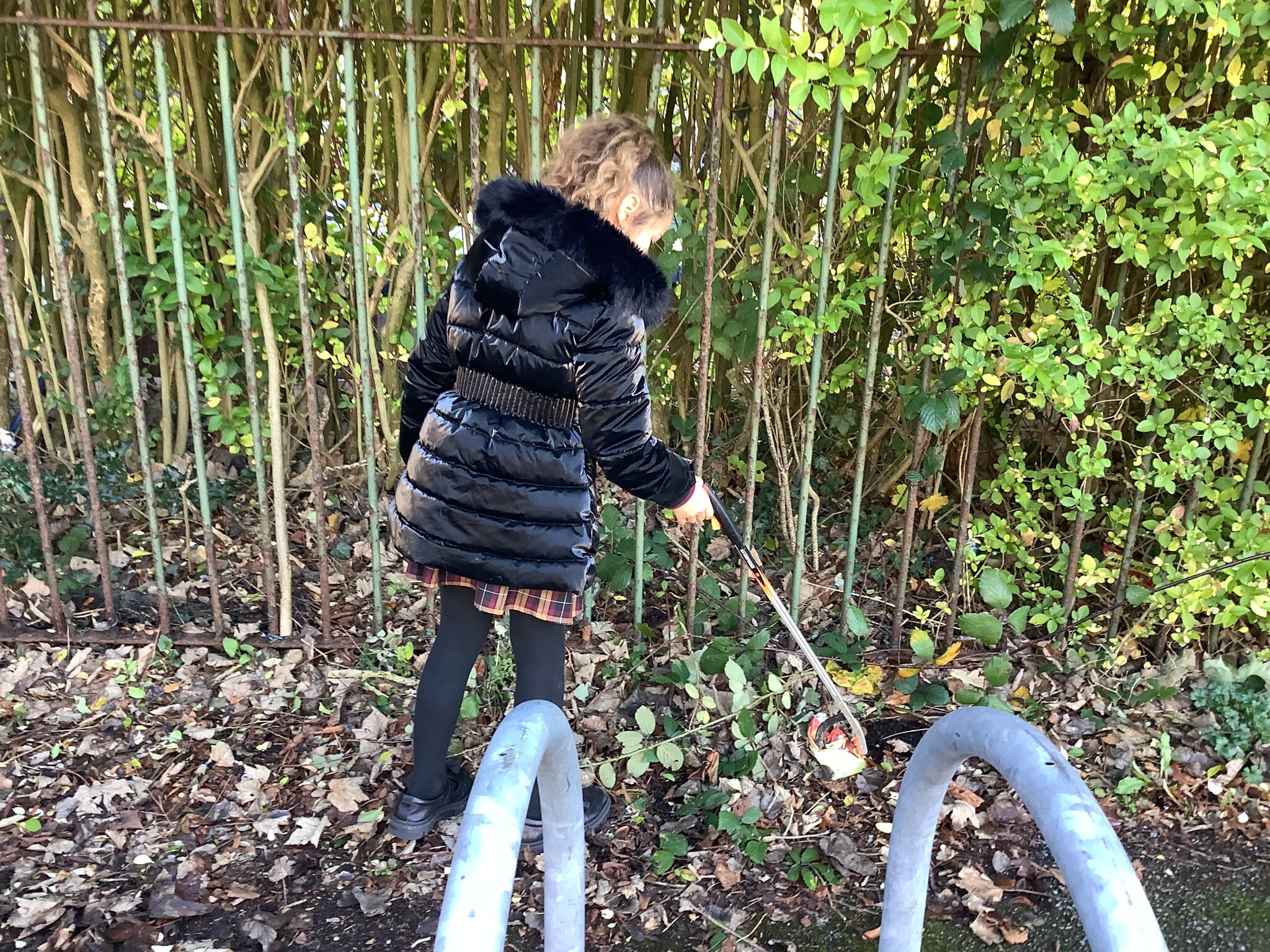 Image of Looking After God’s World