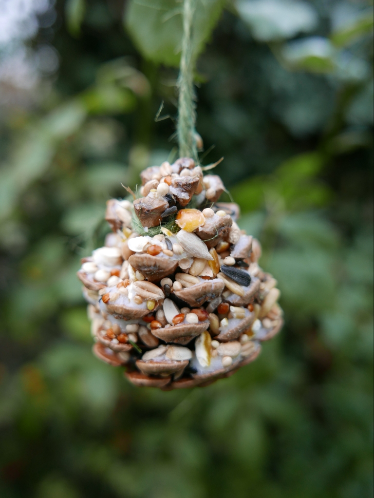 Image of Bird Feeders