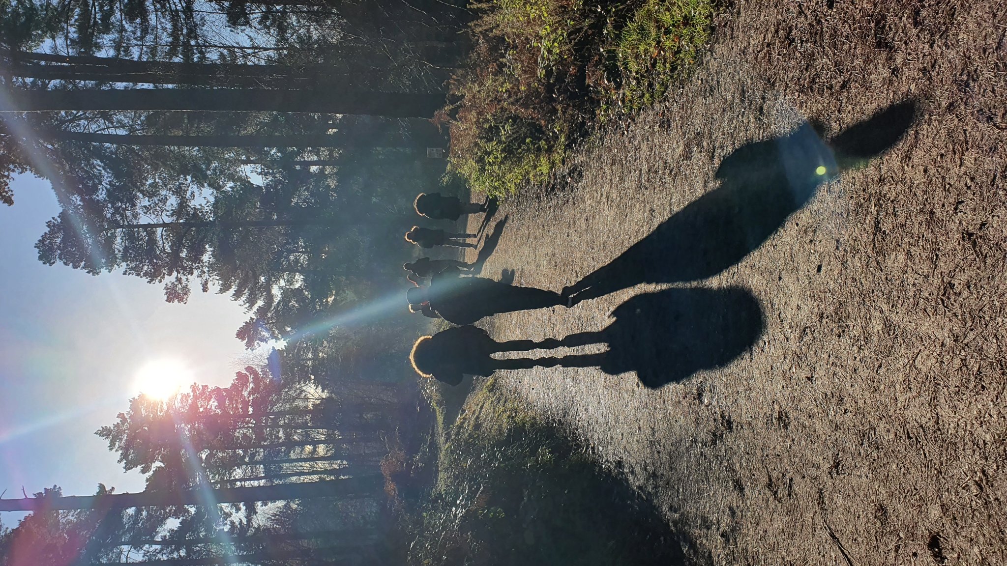 Image of Cannock Chase