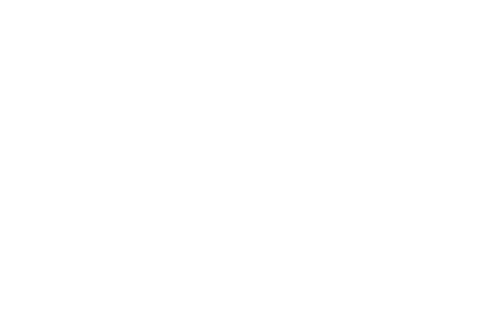 The Lanes Primary School