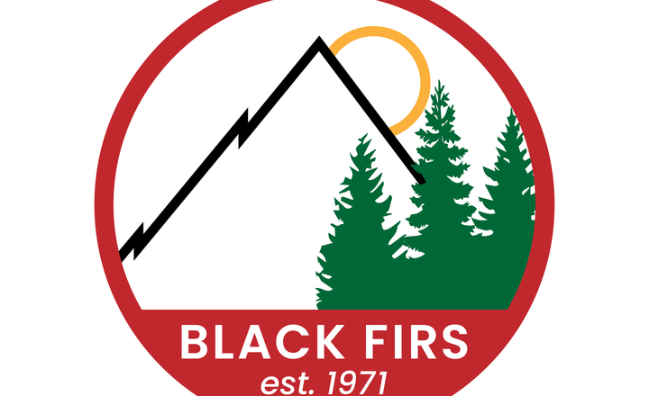 Image of New Logo for Black Firs Primary School