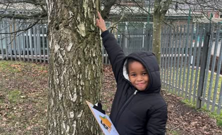 Image of New Orienteering Course at Daven Primary School