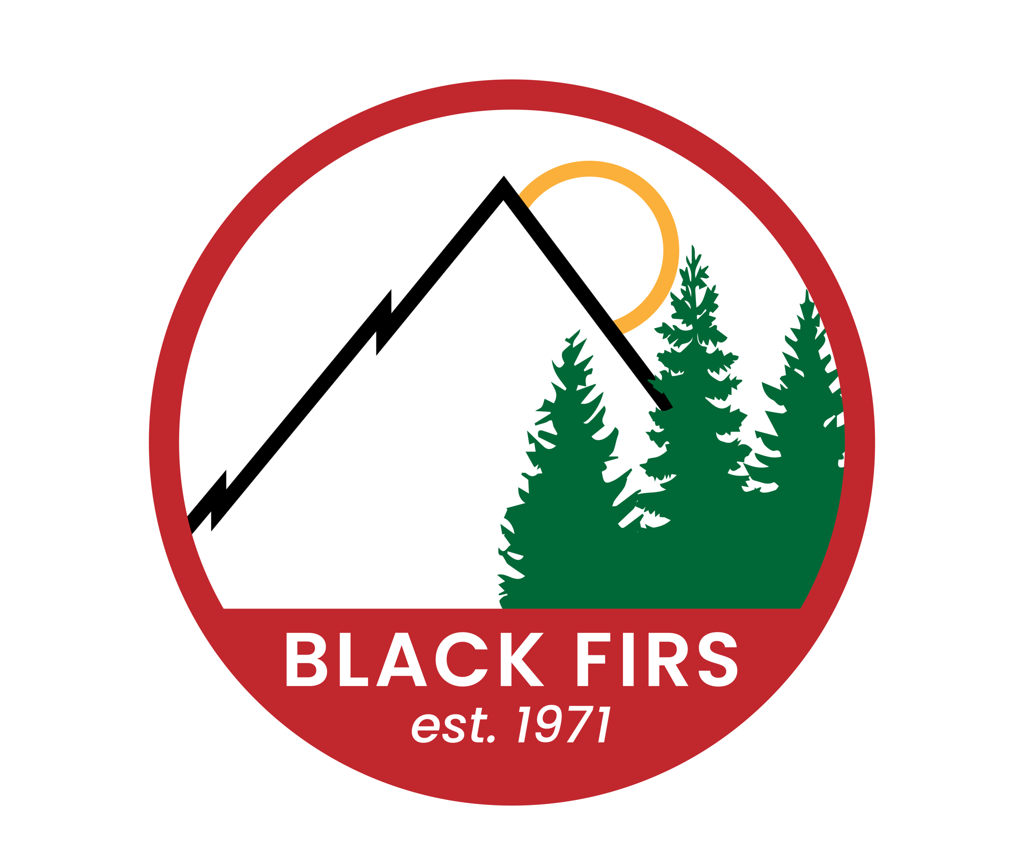 Image of New Logo for Black Firs Primary School