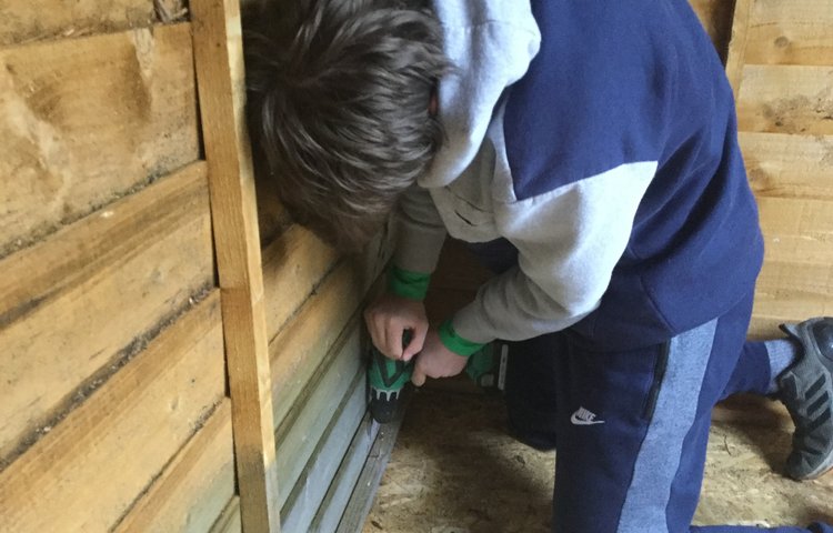 Image of Forest school developments