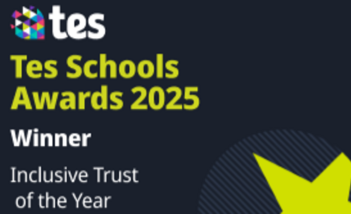 Image of Tes Inclusive Trust of the Year 2025