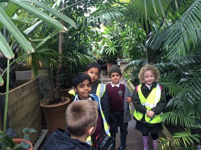 Image of Year 2 Trip to Kew Gardens