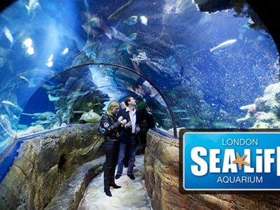 Image of Year 4 Trip to the Sealife Centre