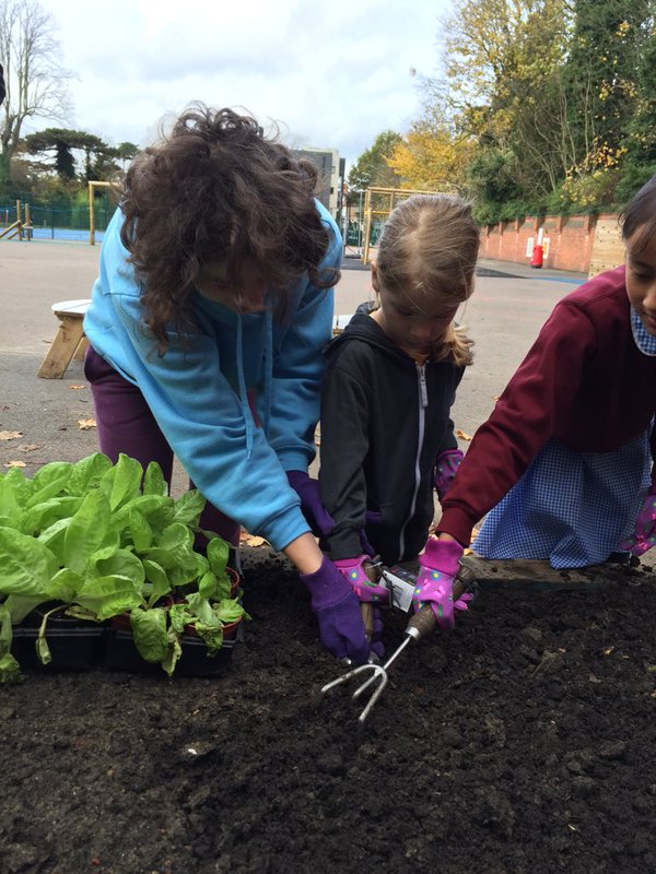 Image of Edible Playground Planting Day