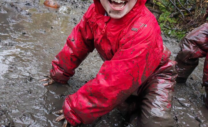 Image of Apple Tree at Forest School!