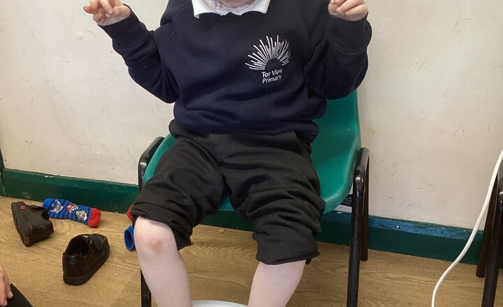 Image of Cherry Tree RE