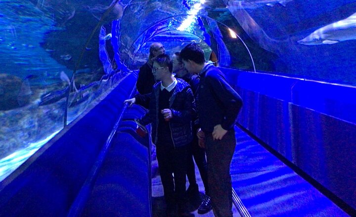 Image of Blue Planet Aquarium