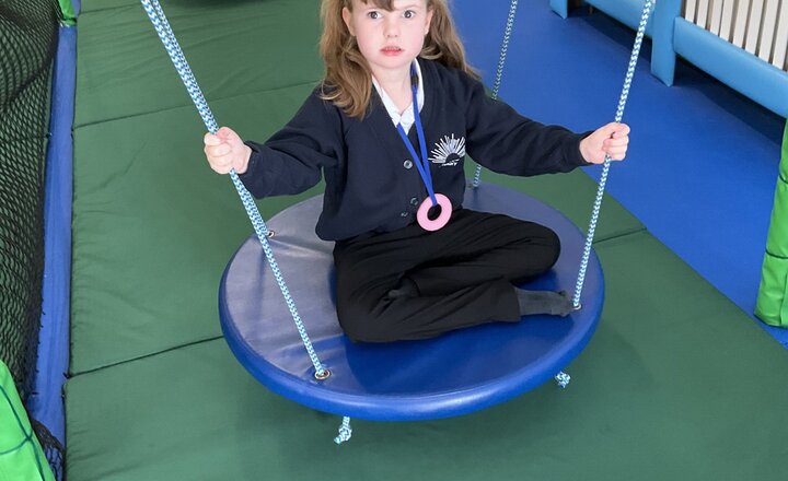 Image of The Sensory Gym