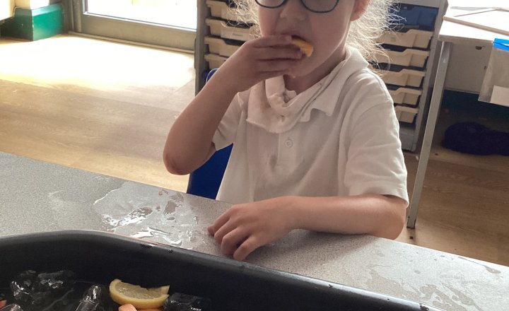 Image of Apple Tree - Sensory Fruit fun!