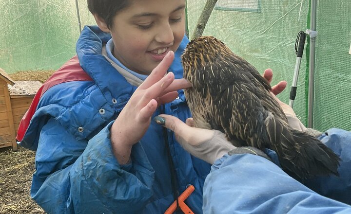 Image of Elm tree - Forest School!