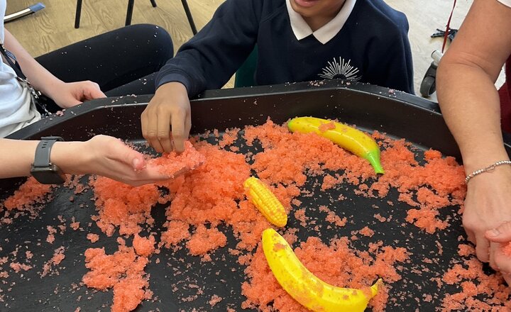 Image of Cherry tree - Our 5 senses!