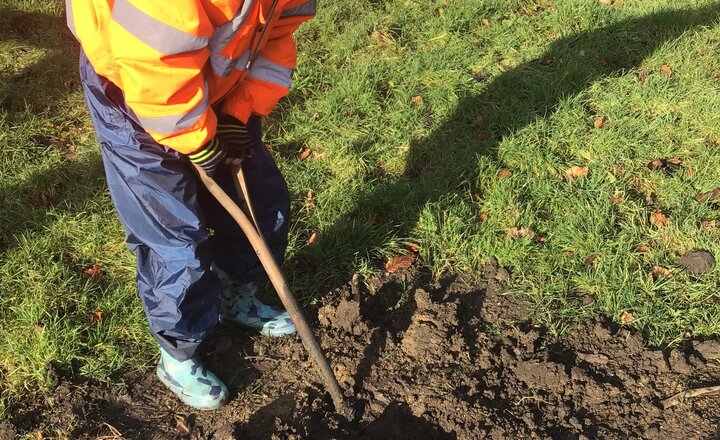 Image of Next Steps Outdoor Learning